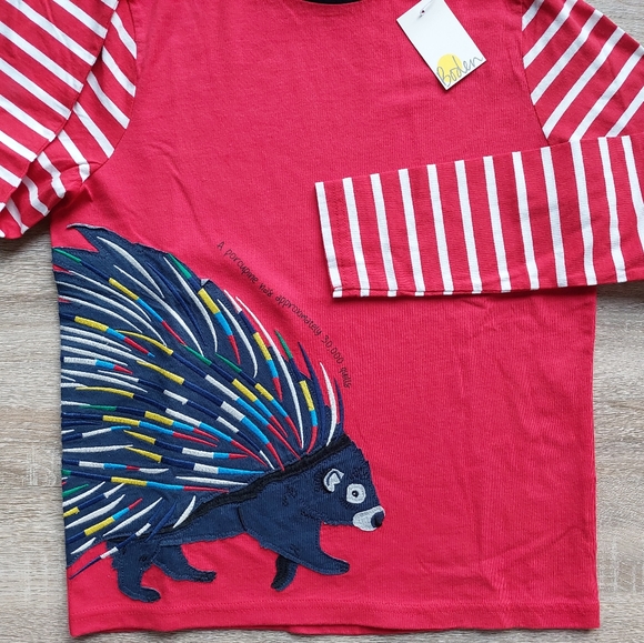 2021 nwt Mini Boden porcupine tee 11-12 years - Picture 12 of 14